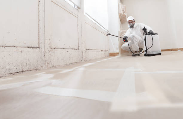 24/7 Emergency Bathroom Mold Removal experts in Holbrook, NY